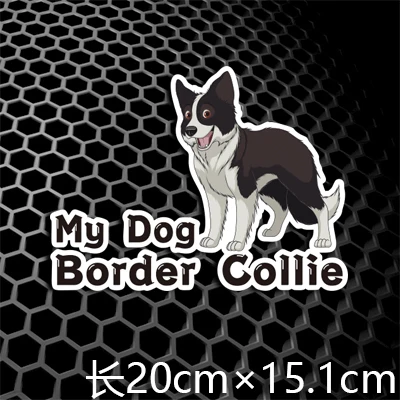 H0726 200x151mm Наклейки на автомобиль BORDER COLLIE, семейная собака, умный мотоцикл, авто, весь корпус, окно, хвост, виниловые переводные наклейки на бампер 3M - Название цвета: H0726 200x151mm