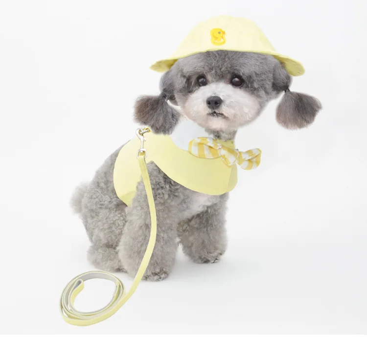 Новейшая одежда для домашних животных разные цвета рандомные милые однотонные