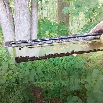 

Small Bee Hive Beetle Blaster BeeHive Trap Black Beekeeping Tool Adopting Beekeeping Equipment Tool