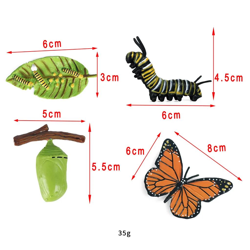 Plastic Insect Growth Stage Lifelike Butterfly Life Cycle Model Play Set for Children Education Insect Themed Party Favors