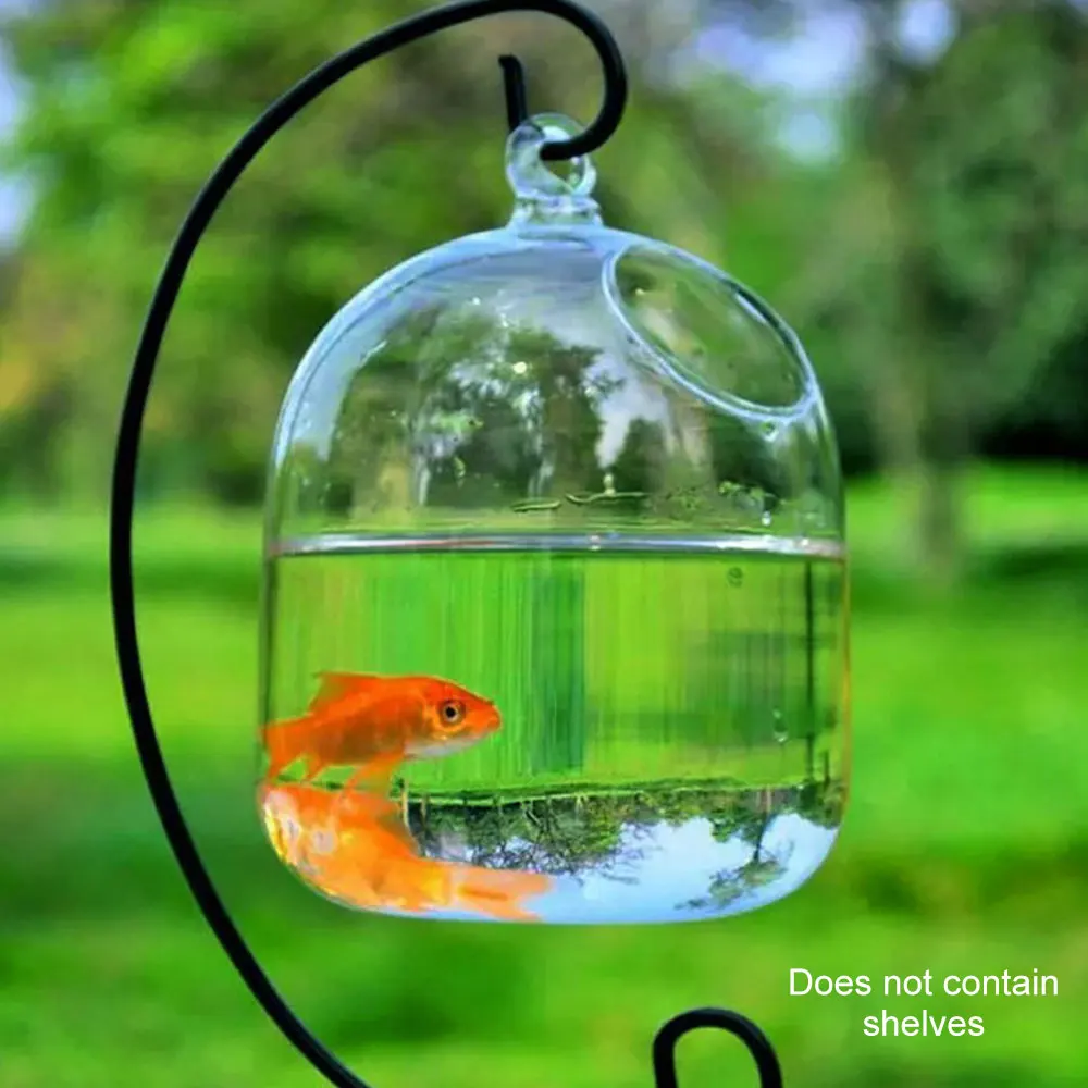 Fishbowl стеклянные вазы воздушные вазы для растений прозрачные Висячие чашка ручной работы рыбка с пузырьками танки подвесные вазы