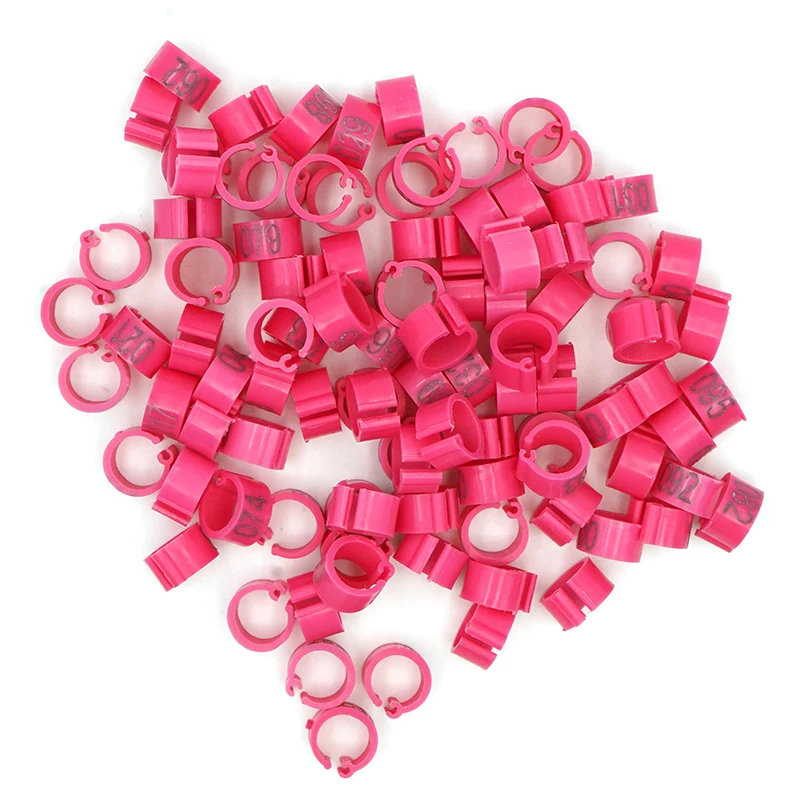 100Pcs Pigeon Birds Foot Rings with Words Numbers Colored Foot Ring Bird Poultry Dove Quail Training Supplies Poultry Tools - Image 5