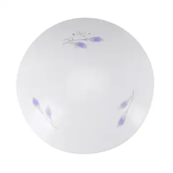 

60W WiFi Intelligent Roof Suction Lamp Alexa Echo Google LED Ceiling Light