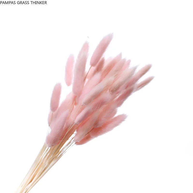 

50 Stems Dried Flower Rabbit Bunny Tail Bunch Light Pink Natural Plants Floral Rabbit Grass Bouquet Wedding Flower