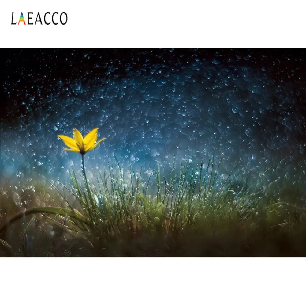 Продолжайте светить. Солнце продолжает светить ворошилов. Bird born с днем рождения. Солнце продолжает светить ворошилов. Продолжайте светить.