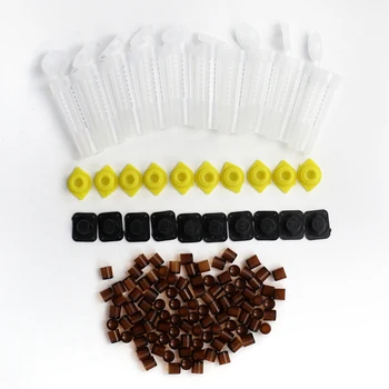 

Complete Queen Rearing Cupkit System Bee Beekeeping Catcher Box +100 Cell Cups Durable And Reliable