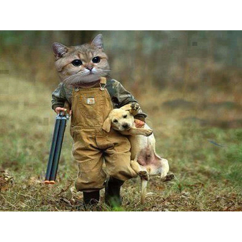 Алмазная живопись 5D полная дрель мозаика &quotОхотник за кошками и собака&quot