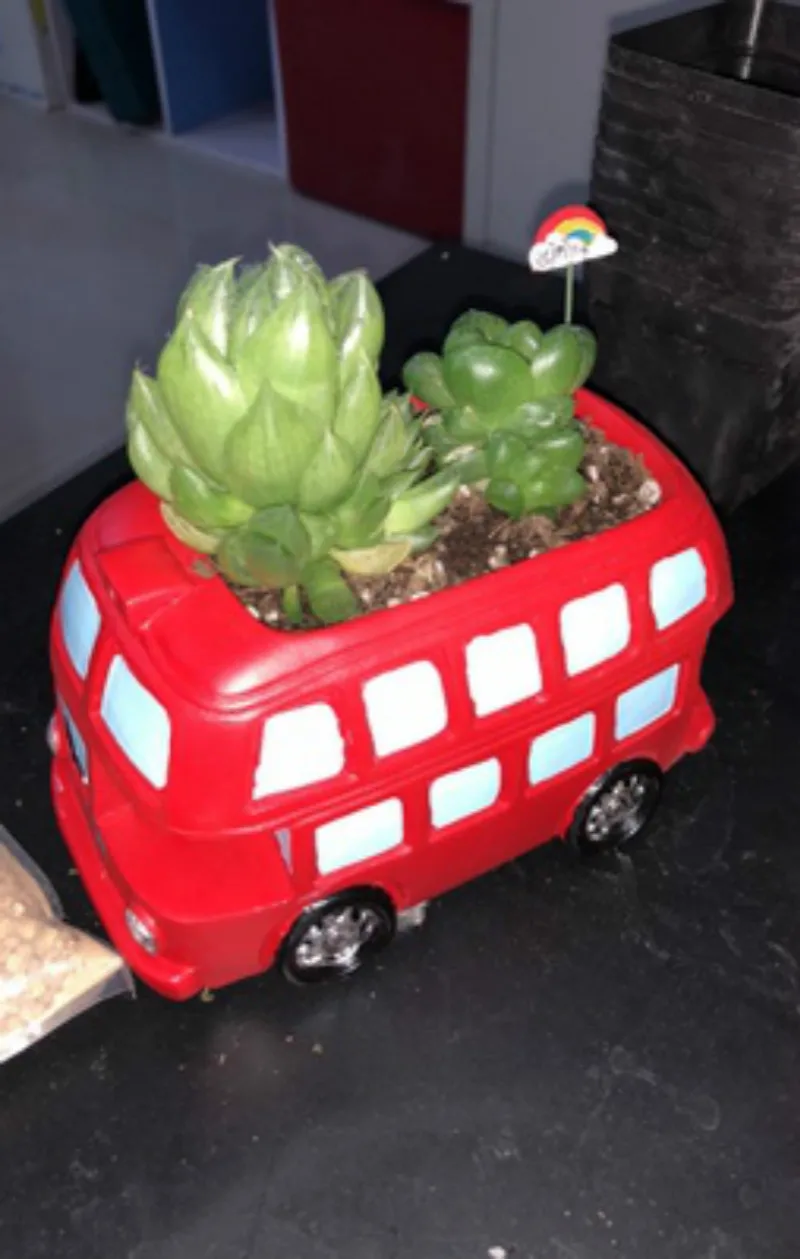 Zakka Creative Flowerpot Retro Cars Colorful Planter Resin Garden Succulent Plants Bonsai Flower Pot Decoration indoor macetas (6)