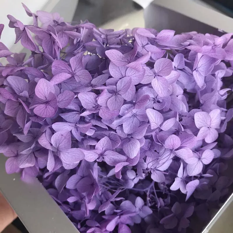 9boxes,Long Time Lasting Natural Fresh Preserved Flowers Dried Hydrangea Flower Head For IY Real Eternal Life Flowers Material - Цвет: 07