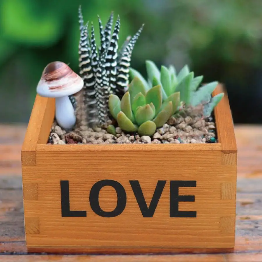 Wooden Planter 2pcs Multifunctional Wooden Succulent Flower Plant Pot Storage Box Organizer Wooden Planter