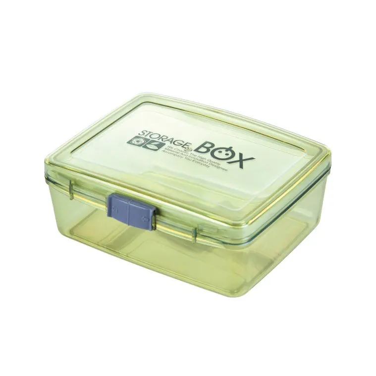 Heated Lunch Box Food Container Refrigerator Food Storage Box Fruit and Vegetable Lunchbox Kids Bento Box Children's Lunchbox