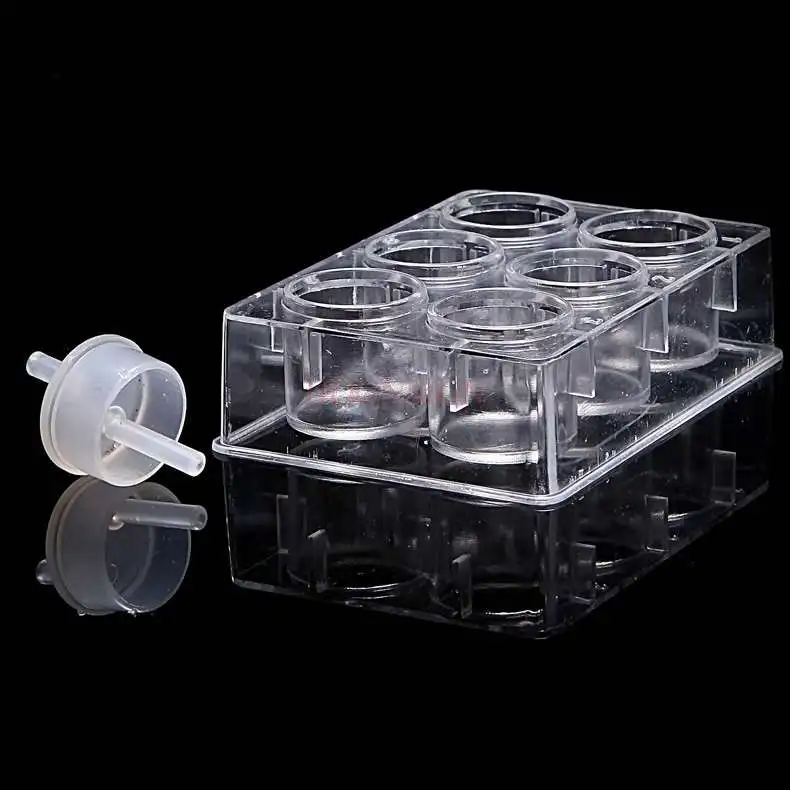 플라스틱 웰 플레이트 6 홀 6 홀 다공성 우물 플레이트, 화학 교육 장비 교육 장비