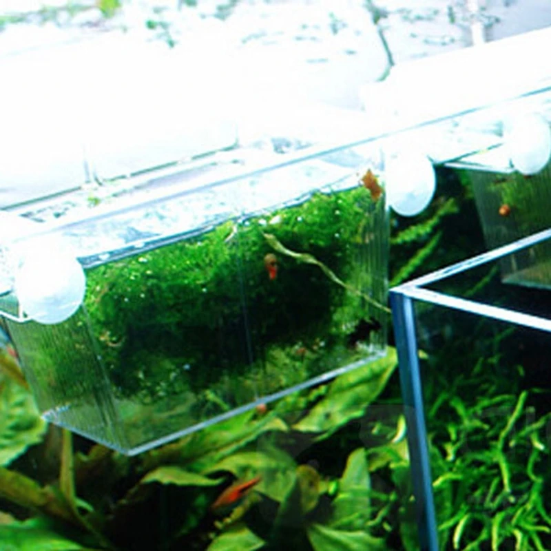 Title 11, Fish Breeding Box Clear Isolation Box Aquarium ...