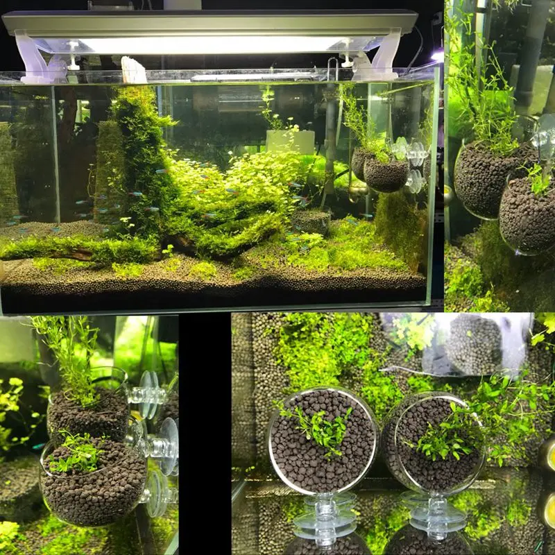 2X стеклянная водная чашка для растений горшок 4X присоски аквариум Aquascape