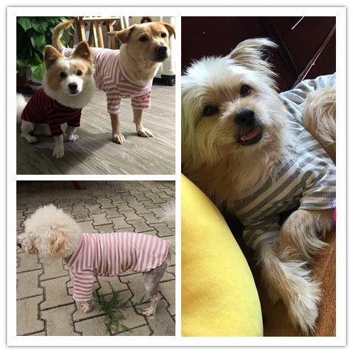 Одежда для собак, кошек, растягивающийся джемпер, жилет, полосатый свитшот для щенков, чихуахуа, нижняя рубашка, домашняя одежда