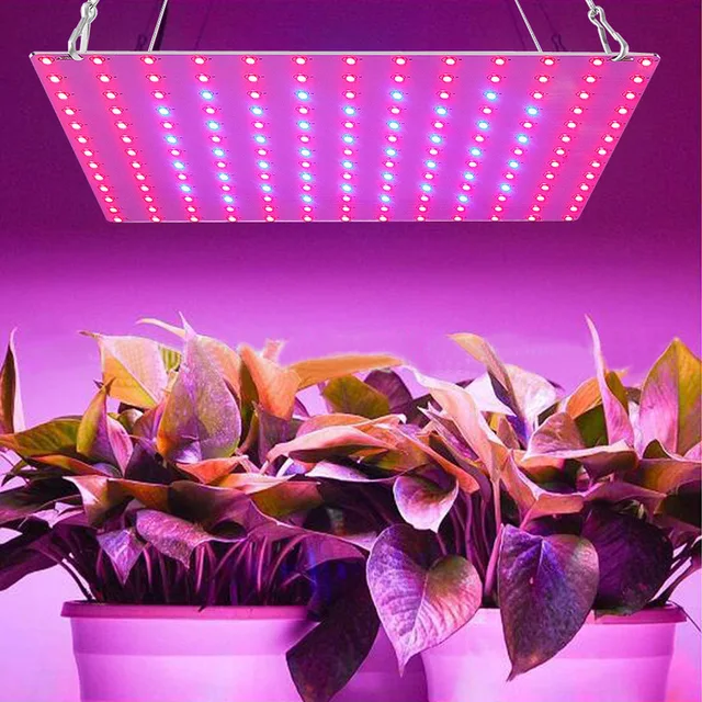 3000W Led Grow Fight, Teljes Spektrum -Termesztési Lámpa Beltéri Növényekhez, Napsütéses Növények Termesztése Hidroponikus Zöldség Gyümölcs Virághoz