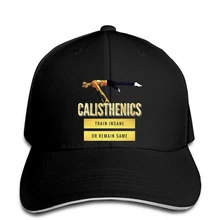 Мужская бейсбольная кепка, Calisthenics evolution, спортивный дизайн, бейсбольная кепка с одной горловиной, Женская бейсбольная кепка, snapback, остроконечная Кепка