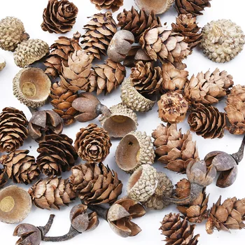 

50PCS MINI Lovely Natural Dried Flower Pinecone Series Christmas Decorations for Home Diy Gifts Box Artificial Plants Wholesale