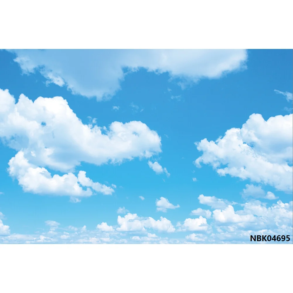 Laeacco голубое небо белое облако детский портрет Фотофон фотографии фоны индивидуальные фотографические фоны для фотостудии - Цвет: NBK04695