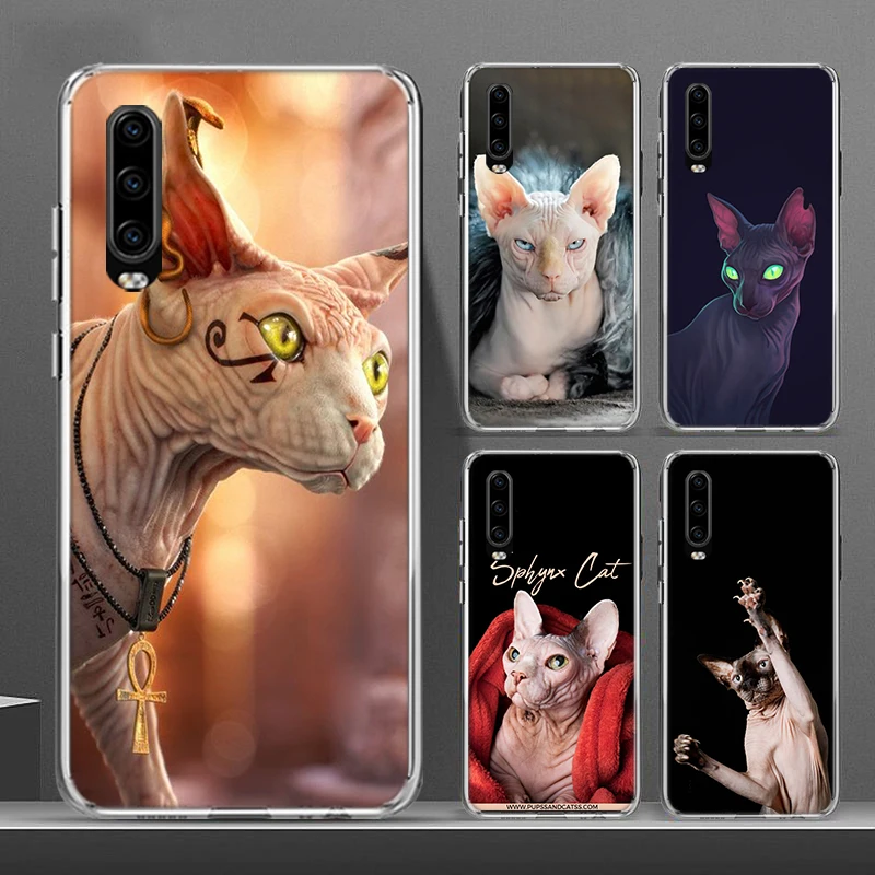 Lion Alpha Male Cub Phone Case for Huawei P30 P20 P40 P50 P10 Mate 40 30 10 20 Lite Pro Silicone Soft Shell Coque Cover Fundas | Мобильные