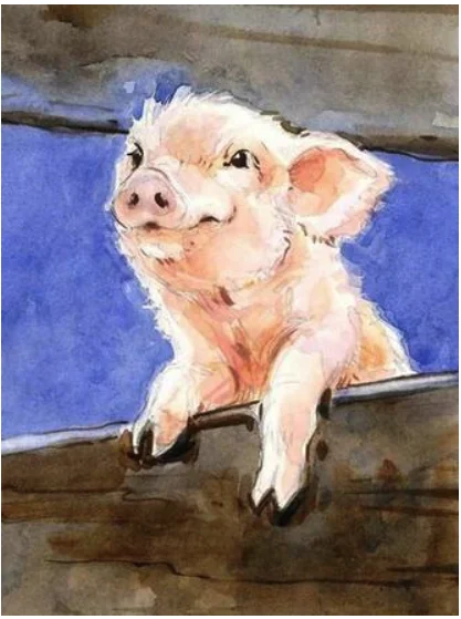 QQ图片20191205144431