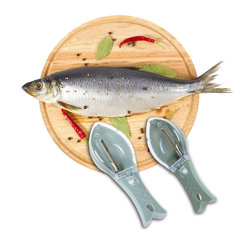 

Fish Pliers Fishing Tools For Fishing Sets Fish Fillet Knife Fittings For Kitchen Clean Fish Remove Fishing Scale Tools