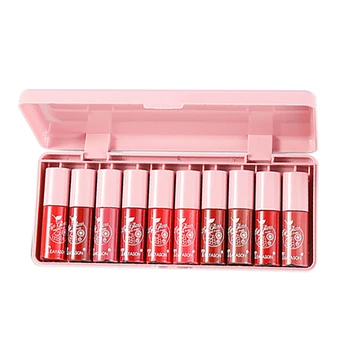

TEAYASON 10 Pcs/Set Cute Lipstick Makeup Set Mini Lip Stick Long Lasting Crystal Moisturizing Lipstick Liquid Lipstick