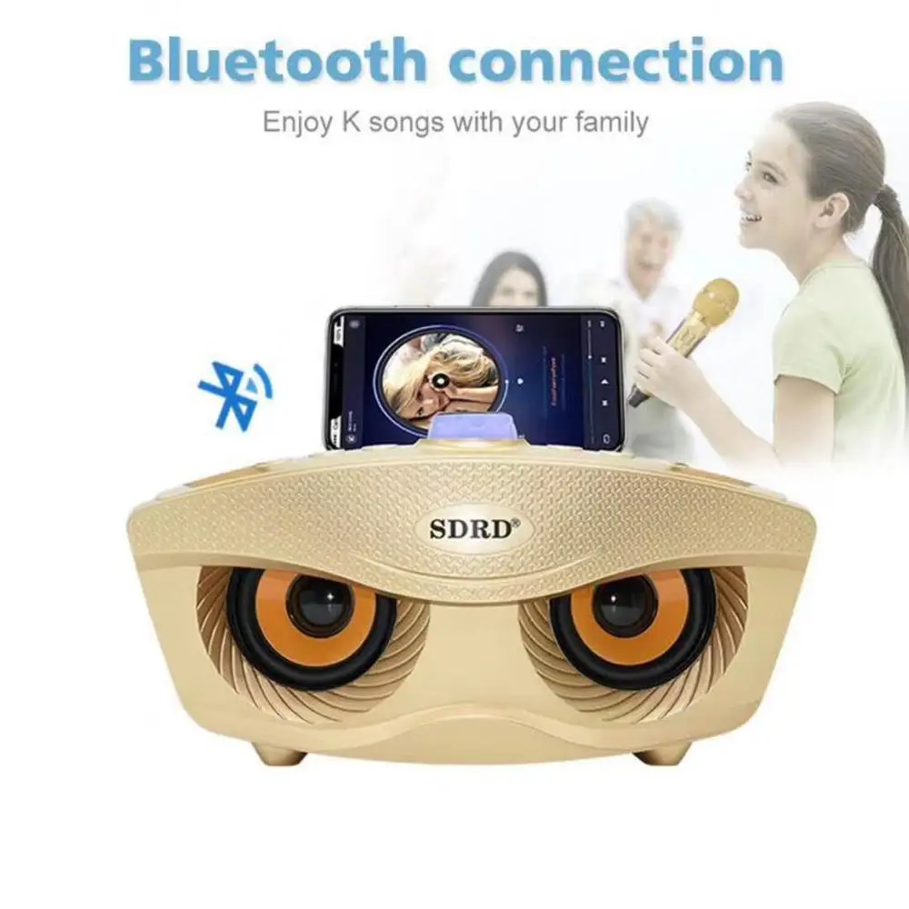 Bluetooth Колонка SD 306 с двумя беспроводными микрофонами Беспроводная колонка для