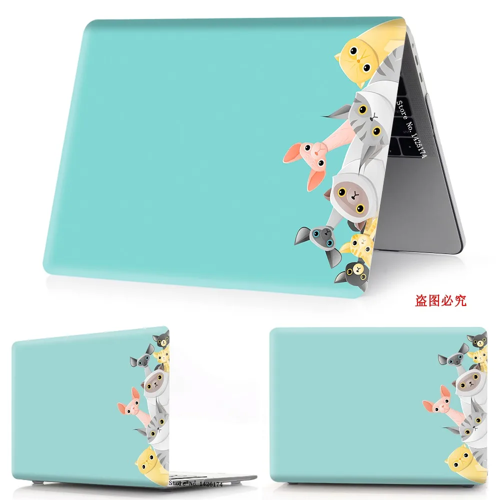 7只小猫兰-3 副本1