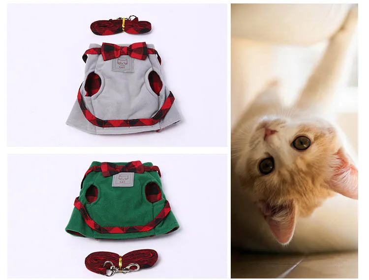 3766494050_1409840576