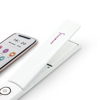 

Portable Hair Straightener Ultra-Thin 2-in-1 Multifunction Travel Home Use Professional Hair Straightener Curly Flat Iron