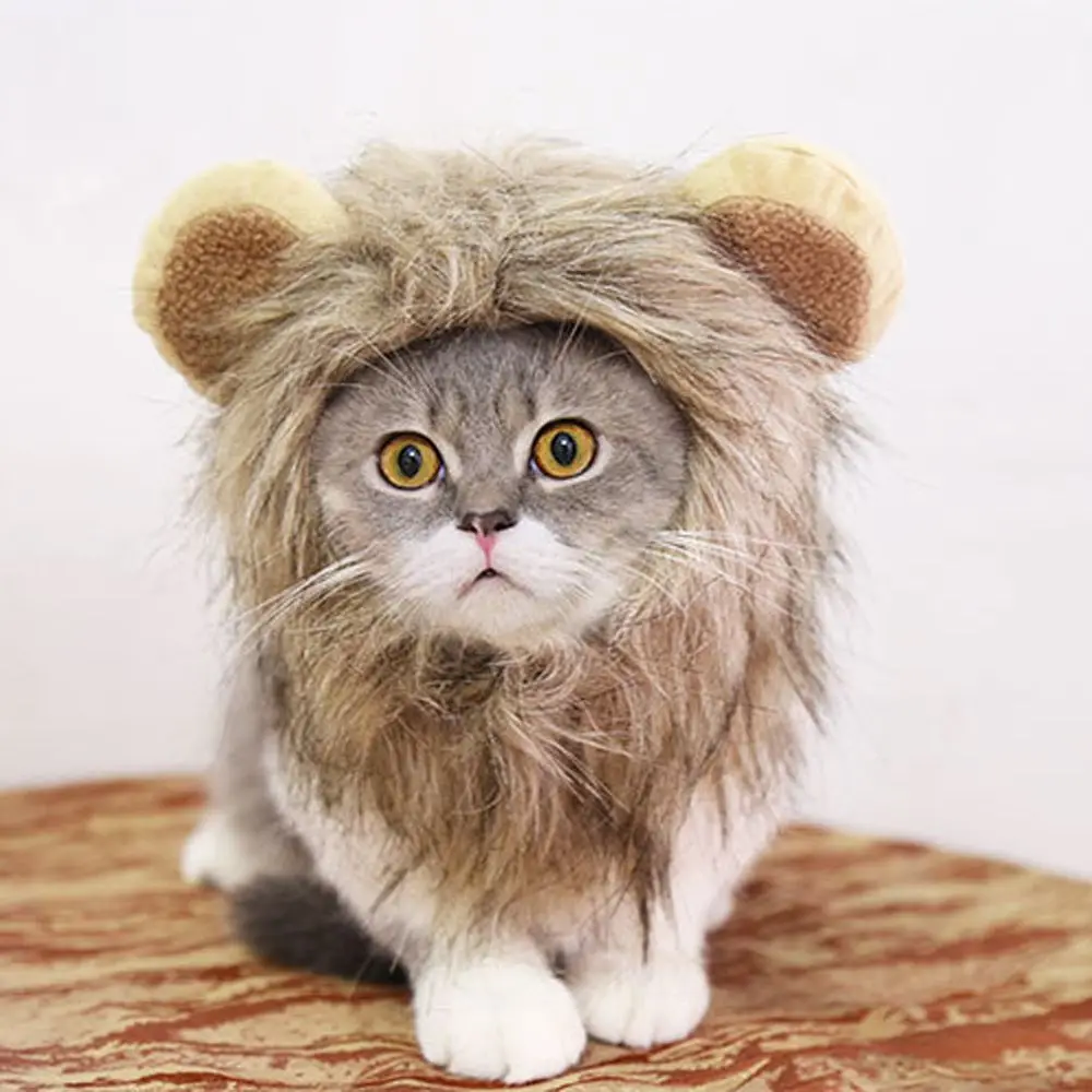 Шляпа для животных костюм кошки Косплей льва грива парик шапка с ушками котенок Регулируемый наряд шляпа Хэллоуин осенние зимние принадлежности для животных
