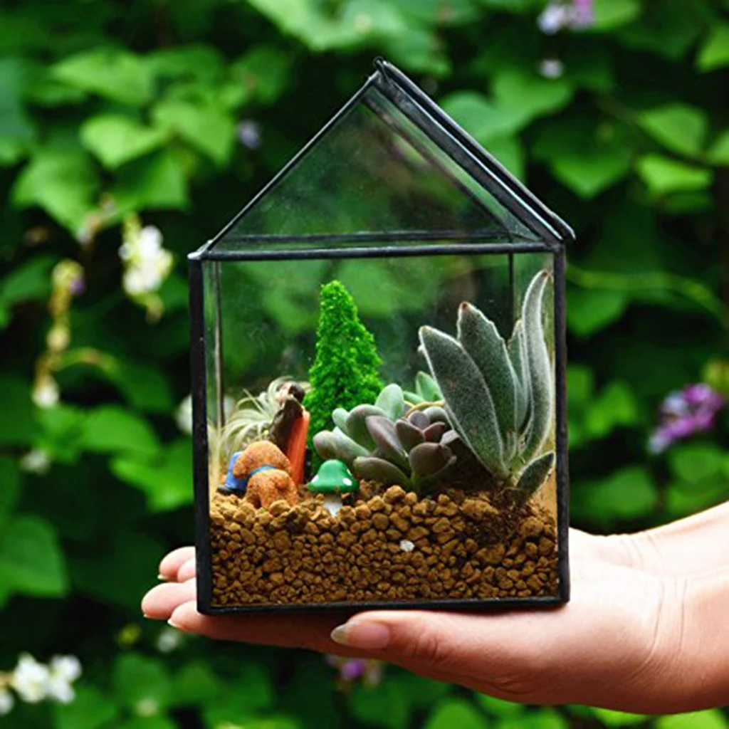 House Shape Clear Glass Geometric Terrarium Box Tabletop Succulent Plant Planter Fern Moss
