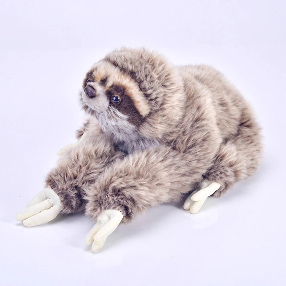 cuddly sloth