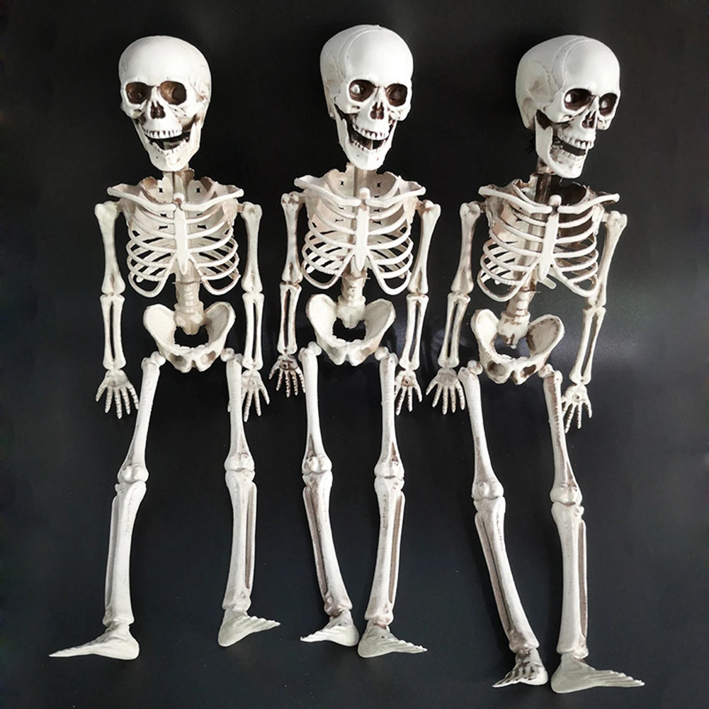 

Halloween Prop Human Skeleton Full Size Skull Hand Life Body Anatomy Model Decor 3 Pcs Halloween Decoration 40cm