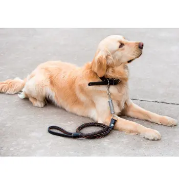 

Dog Collars Leather Personalized Pet Dog Tag Collar Leash Lead For Small Medium Large Dogs Pitbull Bulldog Pugs Beagle