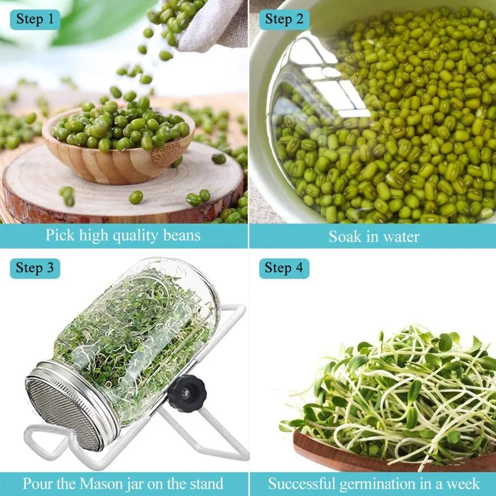 1Set Seed Sprouter Germination Cover Kit Sprouting Mason Jars with Stainless Steel Strainer Lids Stainless Steel Germinator Stan