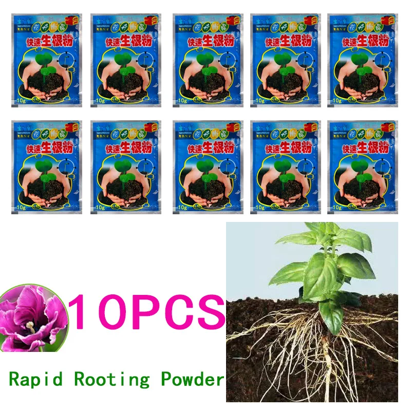 10pcs Flower Rapid Rooting Powder Growing Root Seedling Recovery Plant