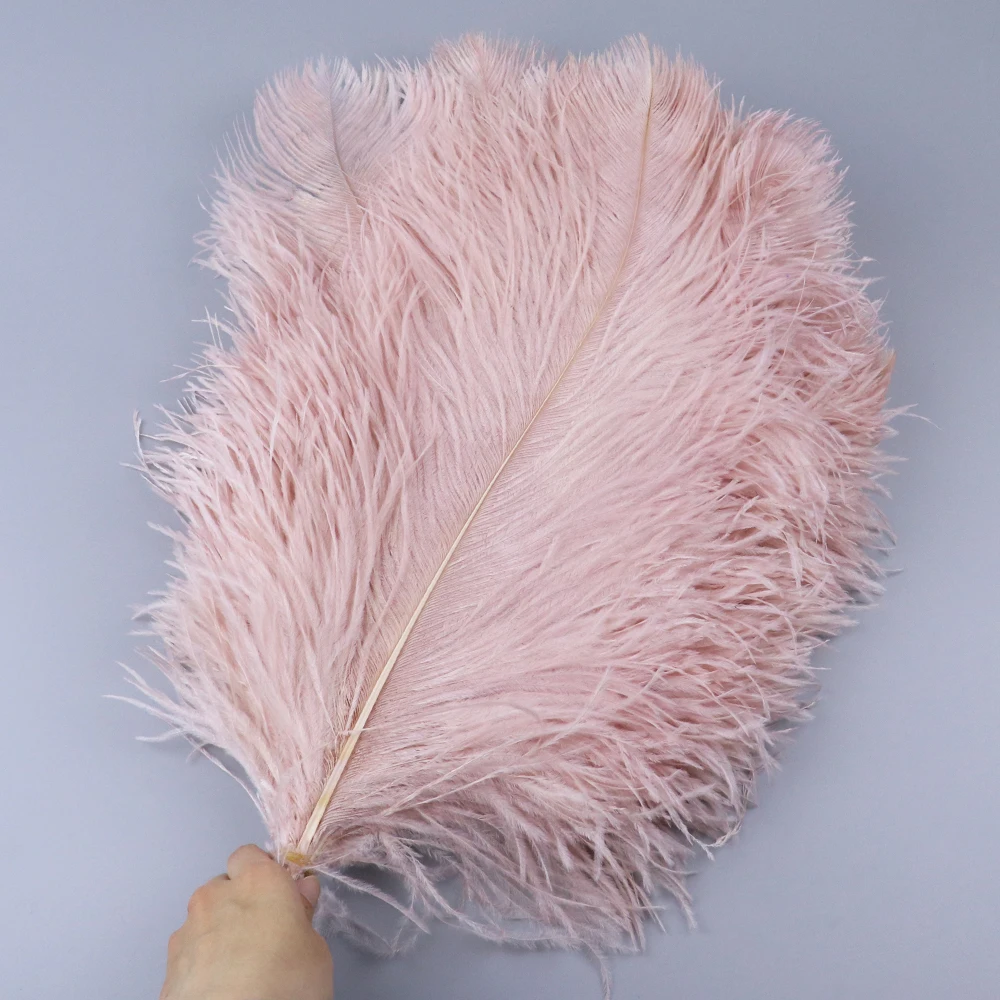 TS0145025 45-50cm ostrich feathers 4