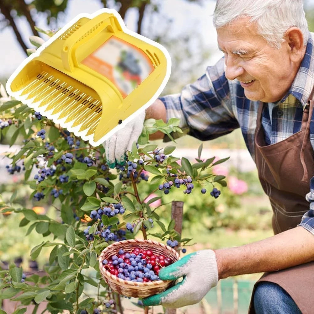 Highbush Blueberry Rake ubicaciondepersonas.cdmx.gob.mx
