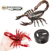 Infrared RC Scorpion Model Toy Animal Present Gift for Kids,High Simulation Animal Scorpion Infrared Remote Control Kids Toys 1