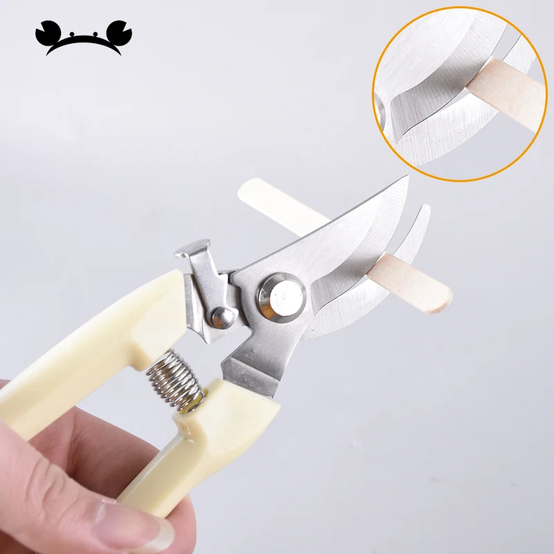 

DIY Model Building Material Tool Cutting Straight Elbow Multifunction Ice Cream Bar Scissors