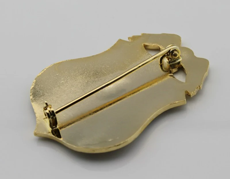 Классический специальный агент Отдел интеллекта и спецназа значок агентства