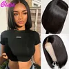 Lace Wigs