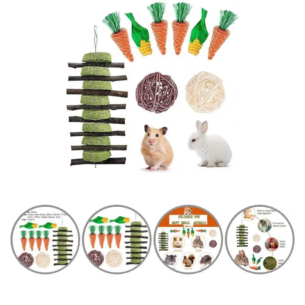 9Pcs/Set Safe Guinea Pig Hamster Ball Toys Guinea Pig Toys