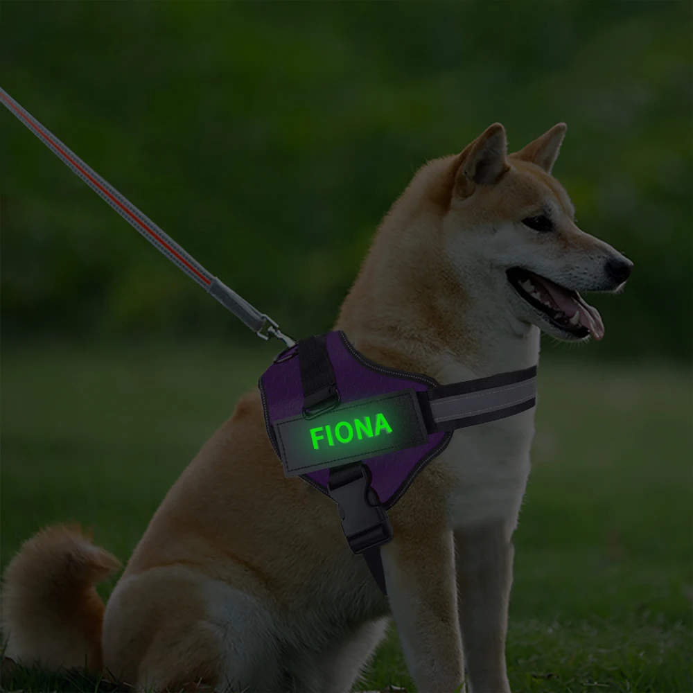 Personalized Dog Harness NO PULL Reflective Adjustable Dog Harness Vest  For Small Large Outdoor Walking + Fluorescent Patch