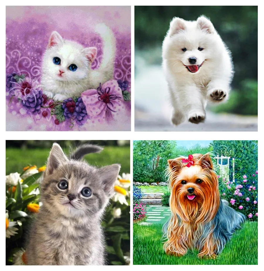Алмазная 5D картина сделай сам изображение Белоснежки собаки бабочки глаза кошки