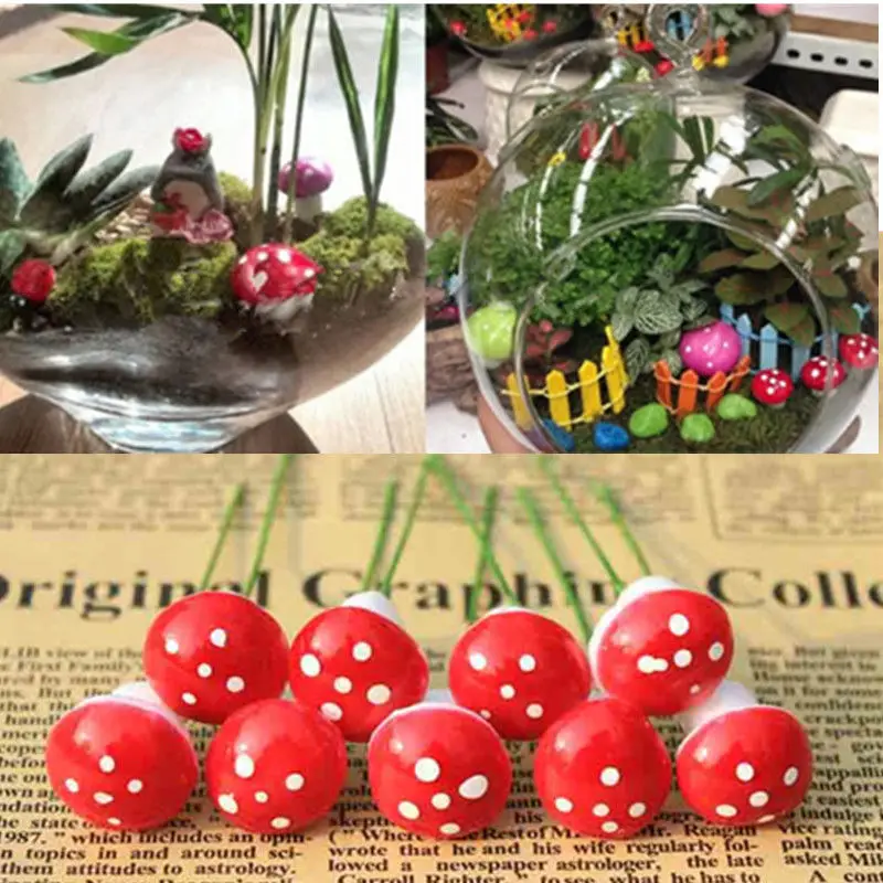 HTB15BmgXUuF3KVjSZK9q6zVtXXaL