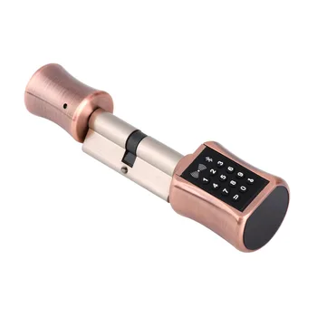 

Bluetooth Cylinder Lock TT Lock password card Biometric Electronic Smart Door Lock Digital Keypad Code Keyless Lock Home Airbnb