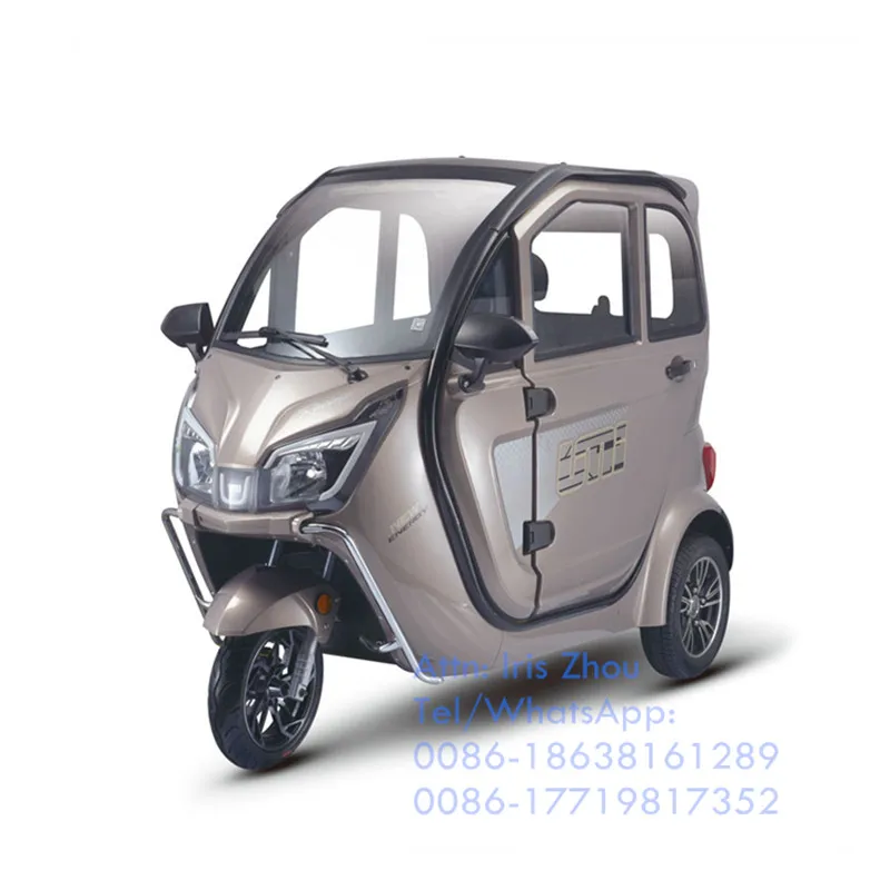 1000W Adult Electric Tricycle 2 Seats 